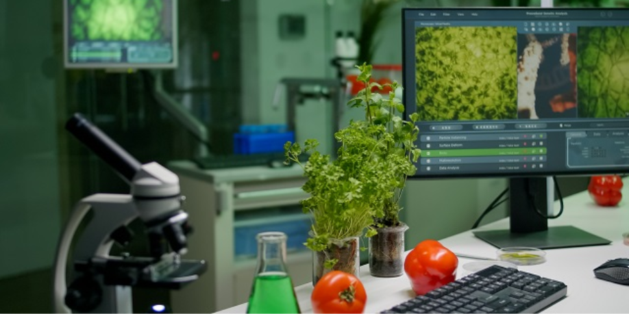 Nanotecnología en alimentos, te contamos qué es Revista Industria Alimentaria